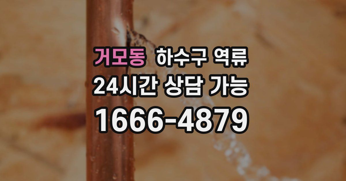 거모동 하수구 역류