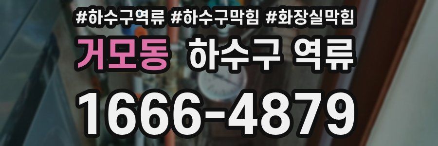 거모동 하수구 역류