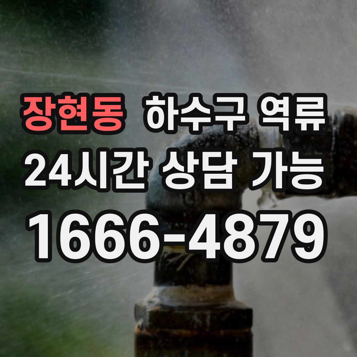 장현동 하수구 역류