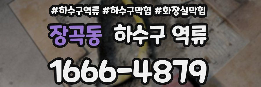 장곡동 하수구 역류