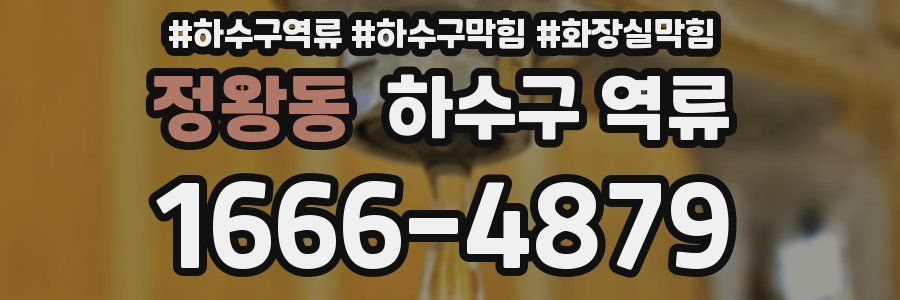 정왕동 하수구 역류