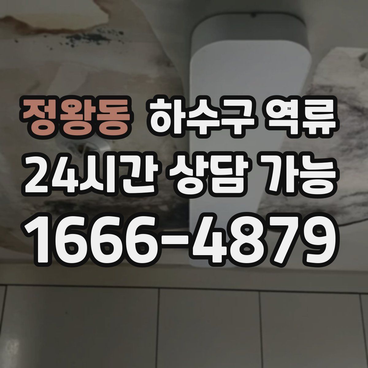 정왕동 하수구 역류