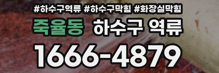 죽율동 하수구 역류