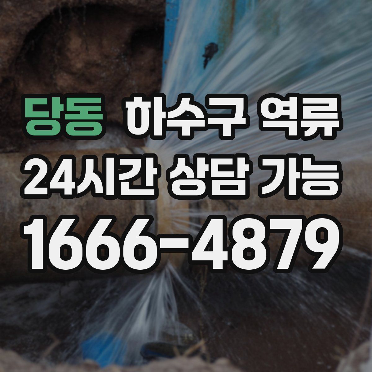 당동 하수구 역류