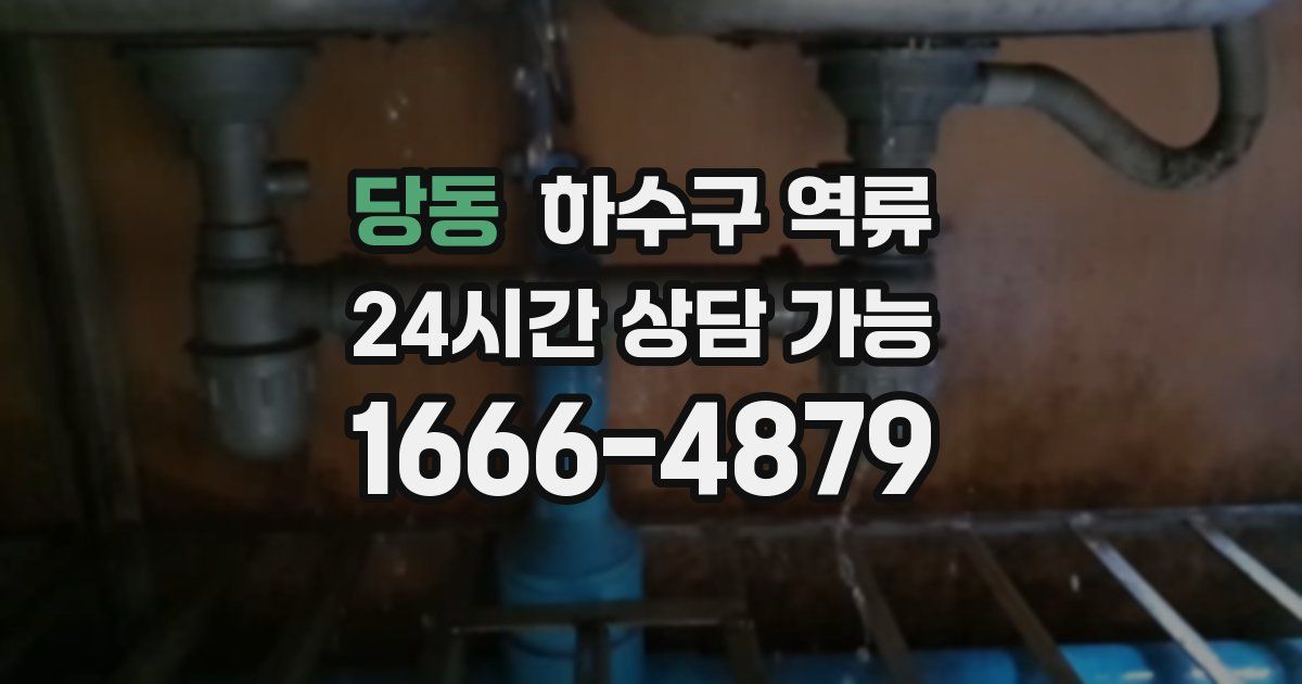 당동 하수구 역류