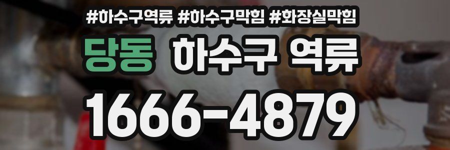 당동 하수구 역류