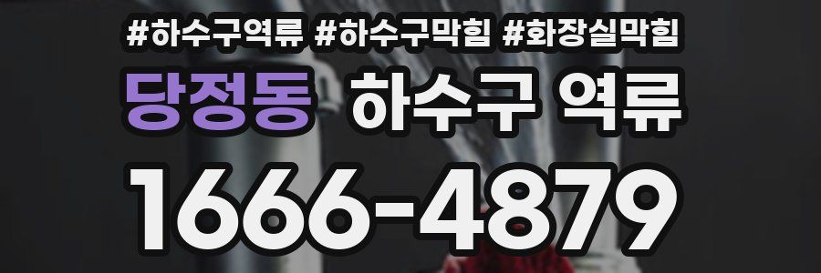 당정동 하수구 역류