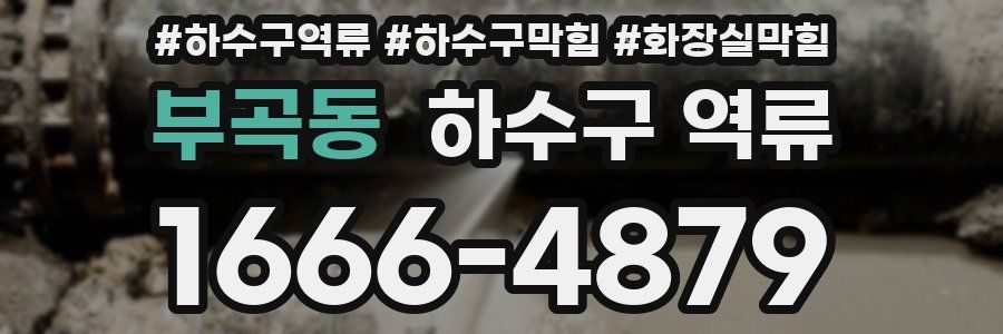 부곡동 하수구 역류