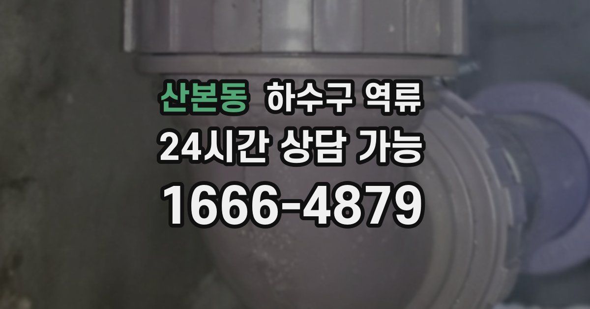 산본동 하수구 역류