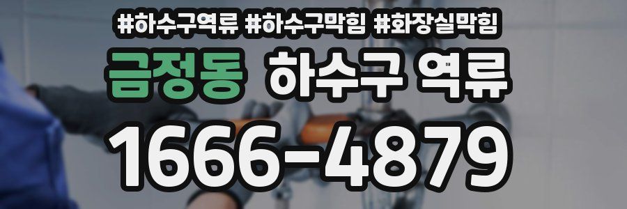 금정동 하수구 역류