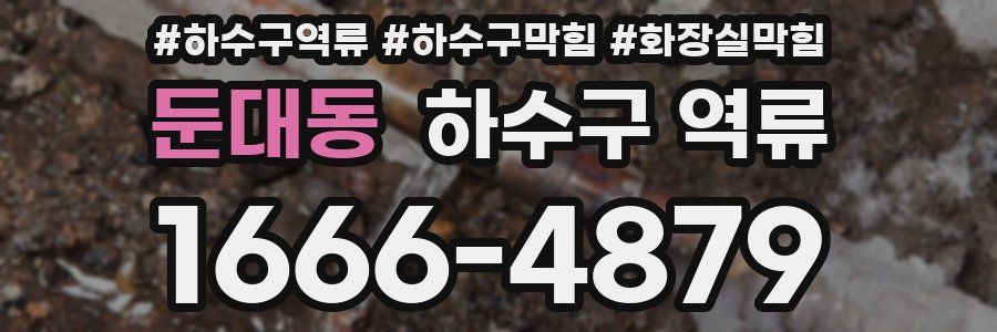 둔대동 하수구 역류