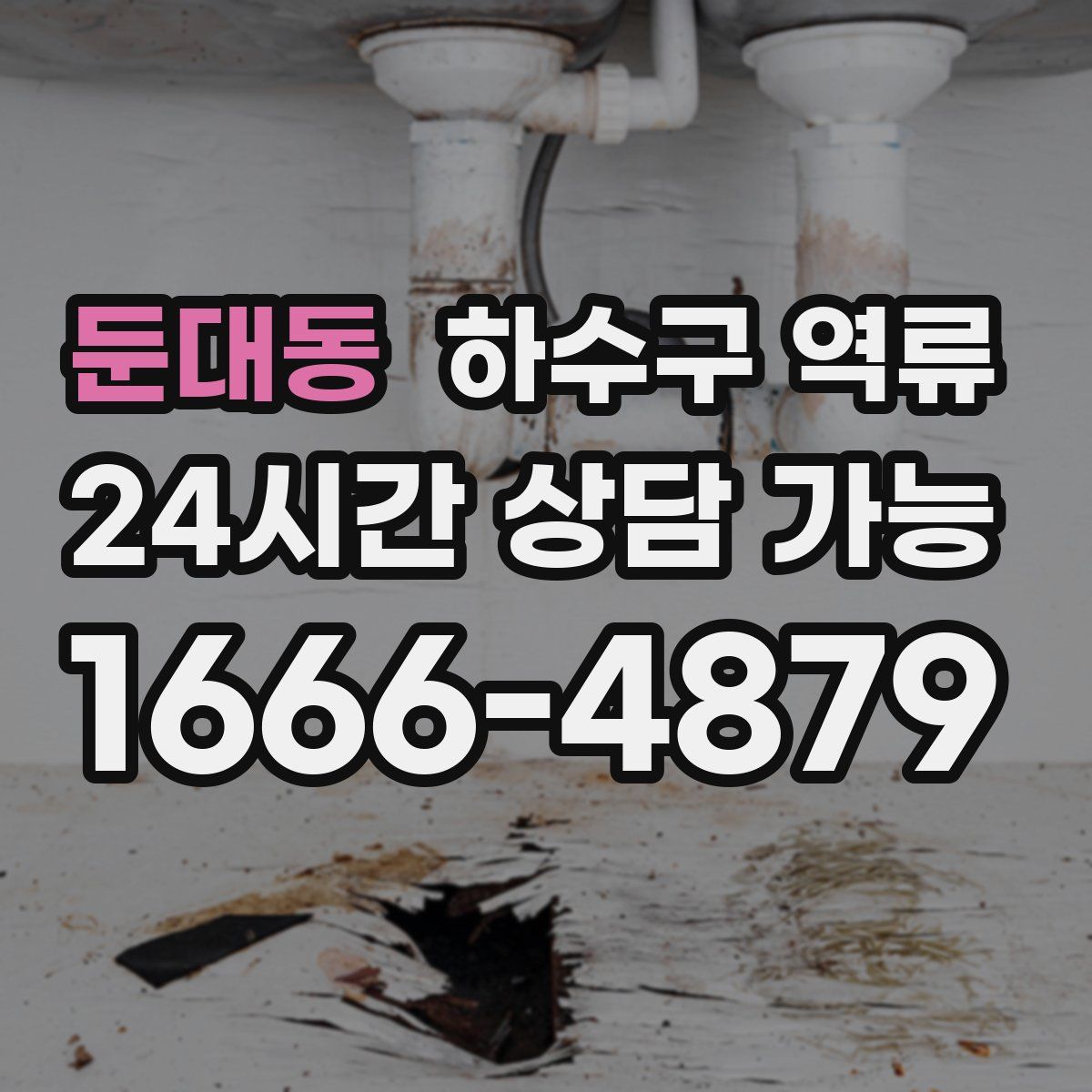 둔대동 하수구 역류