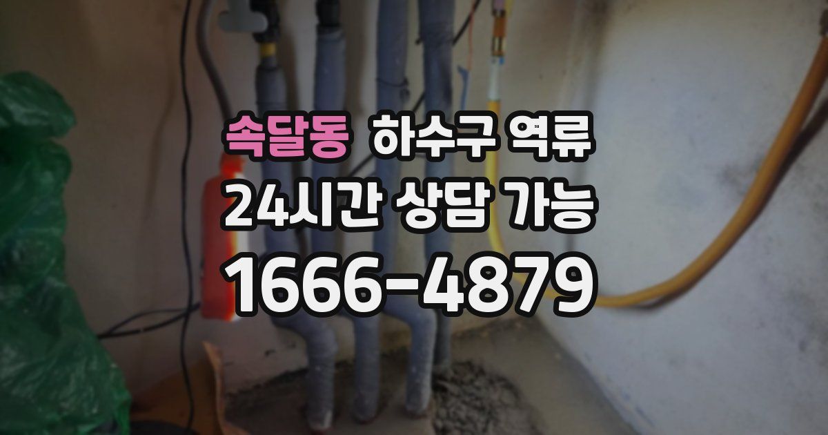 속달동 하수구 역류