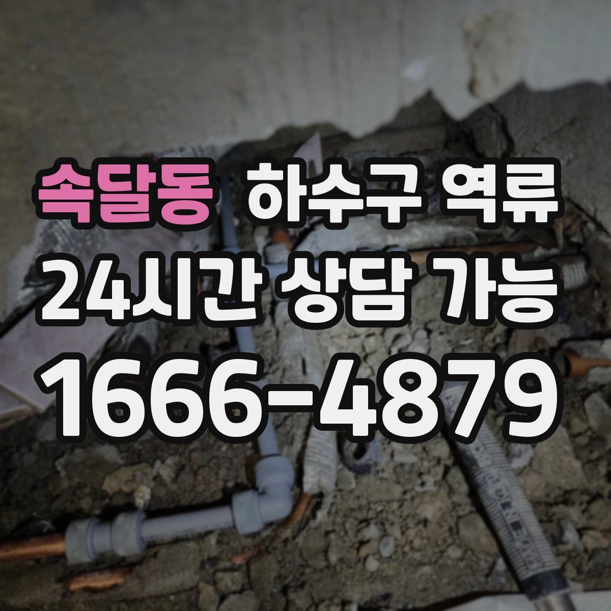 속달동 하수구 역류