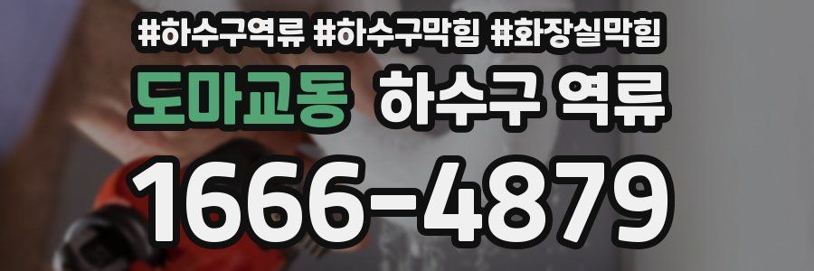 도마교동 하수구 역류