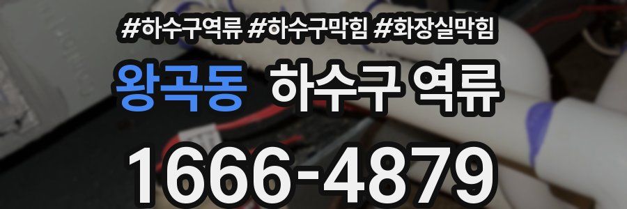 왕곡동 하수구 역류