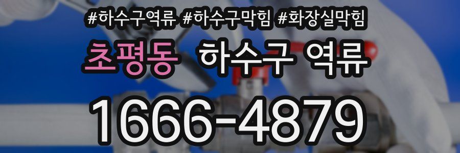 초평동 하수구 역류