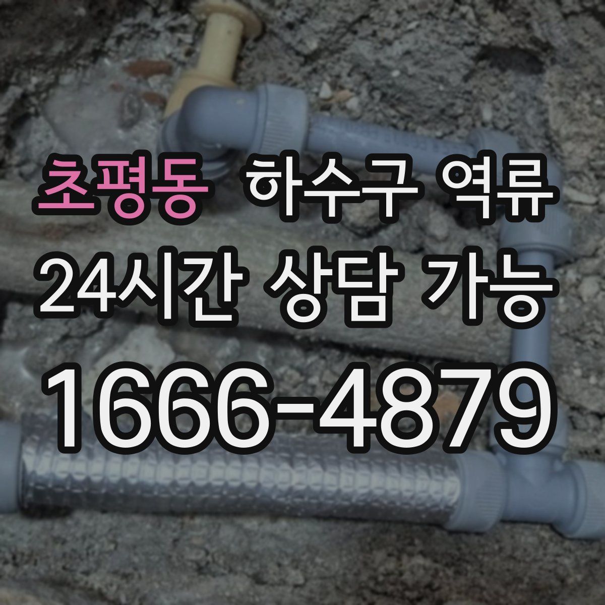 초평동 하수구 역류