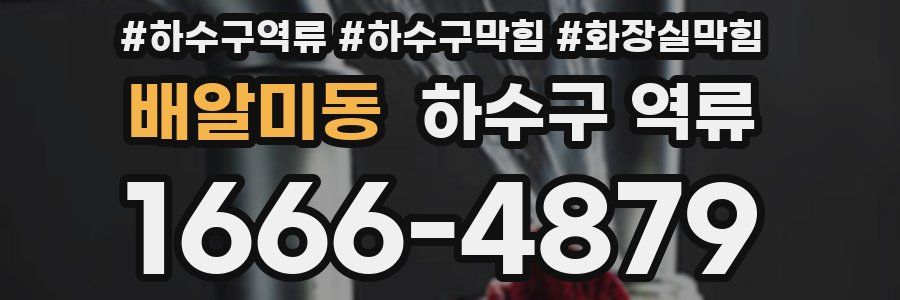 배알미동 하수구 역류