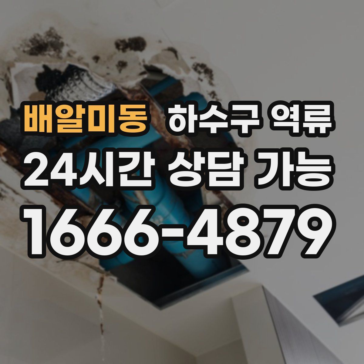 배알미동 하수구 역류