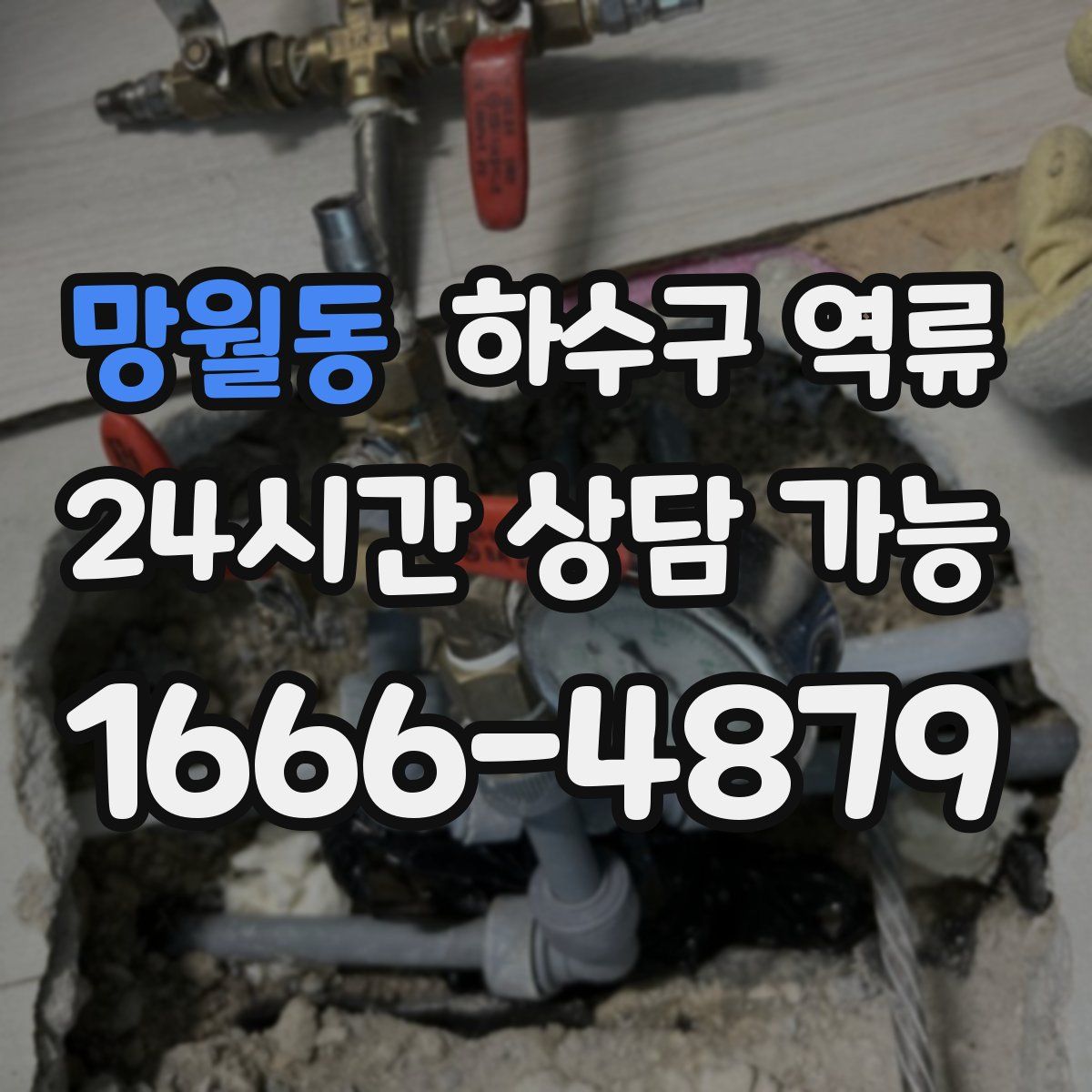 망월동 하수구 역류
