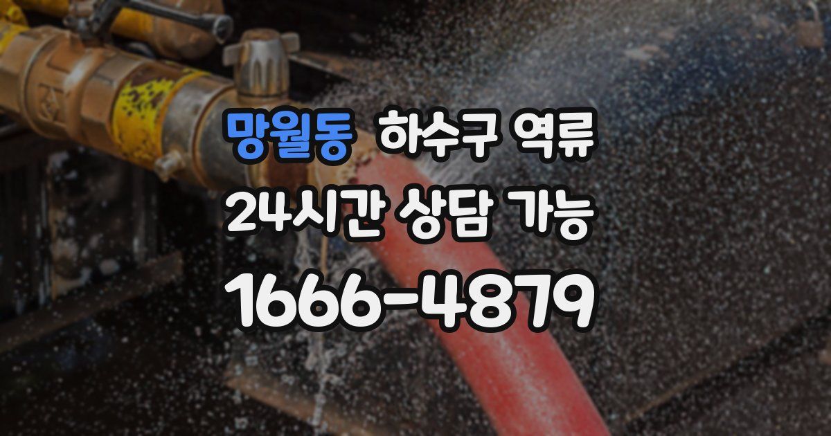 망월동 하수구 역류