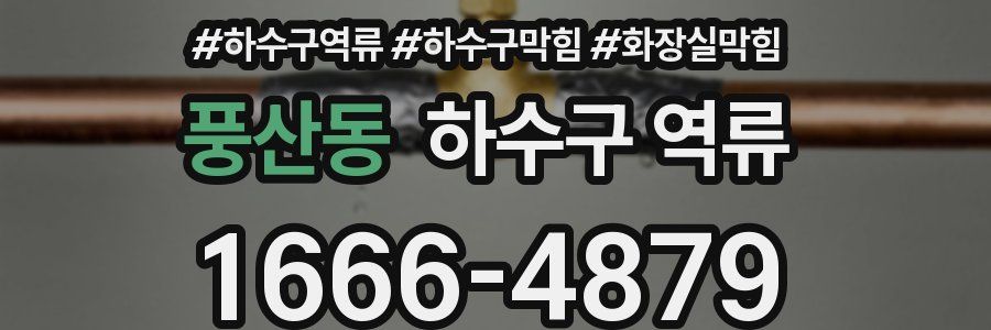 풍산동 하수구 역류