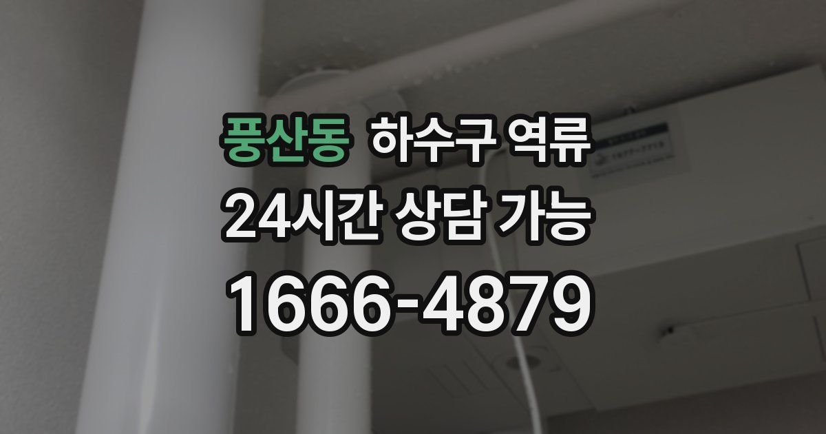 풍산동 하수구 역류