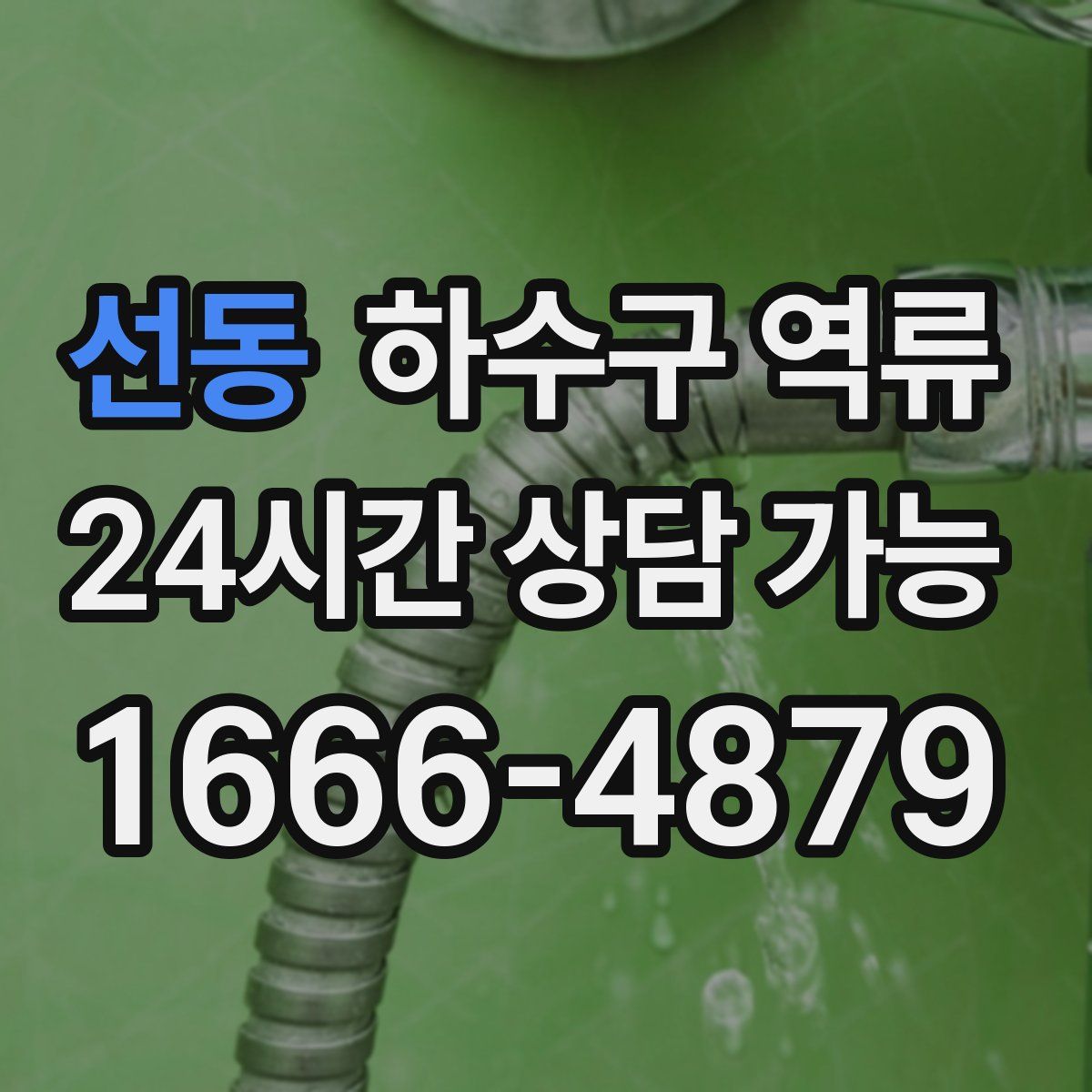 선동 하수구 역류