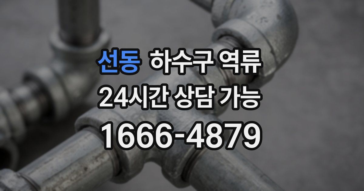 선동 하수구 역류