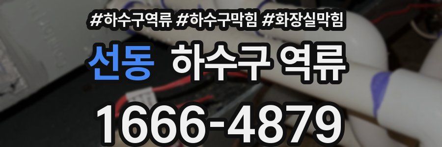 선동 하수구 역류