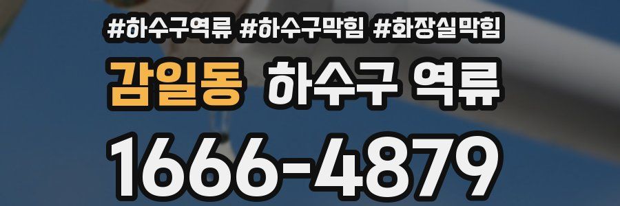 감일동 하수구 역류