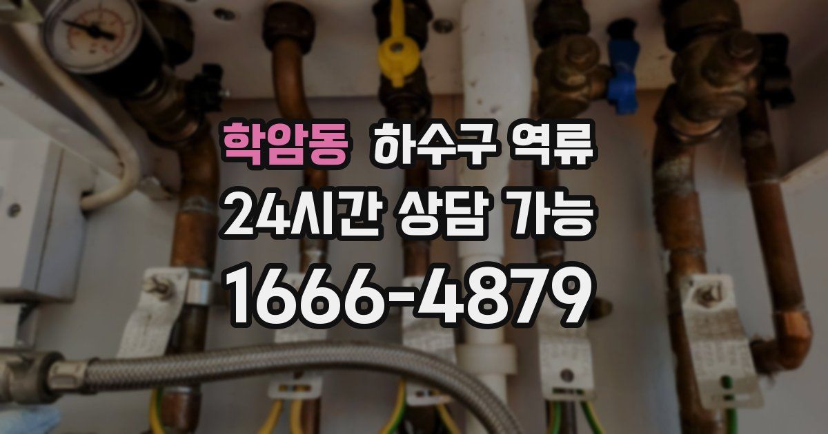 학암동 하수구 역류