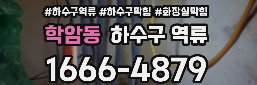 학암동 하수구 역류