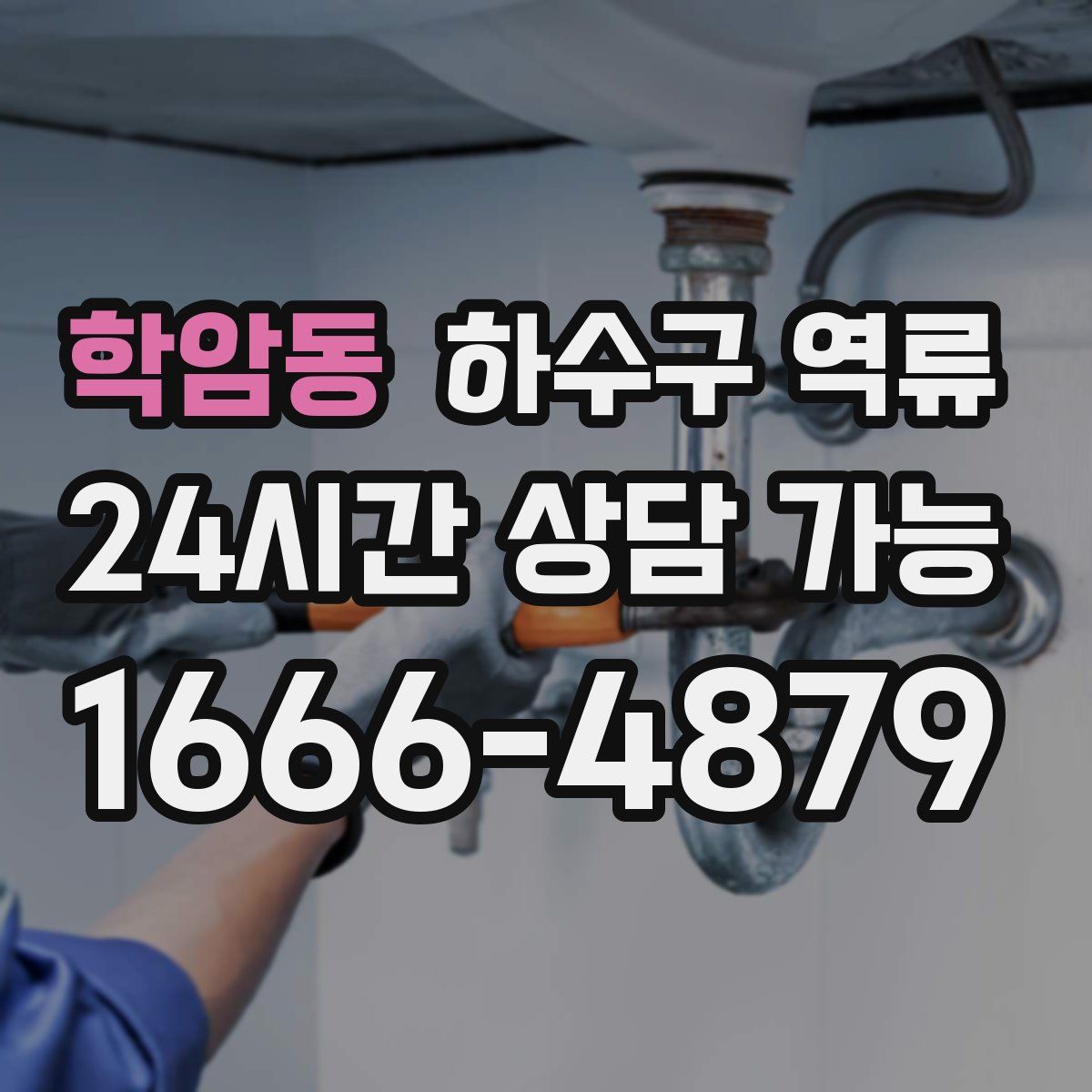 학암동 하수구 역류