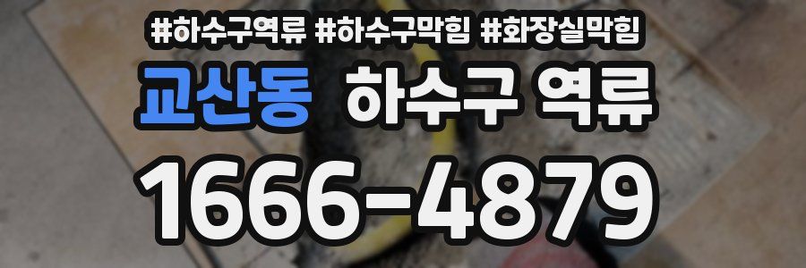 교산동 하수구 역류