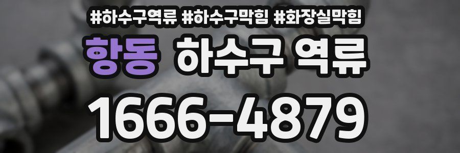 항동 하수구 역류