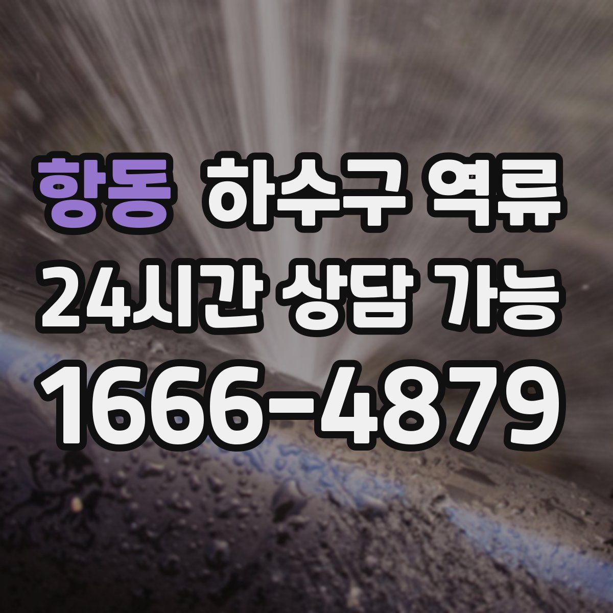 항동 하수구 역류