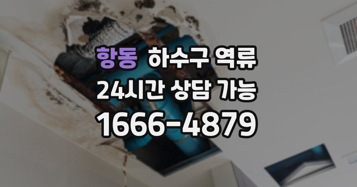 항동 하수구 역류