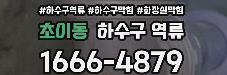 초이동 하수구 역류