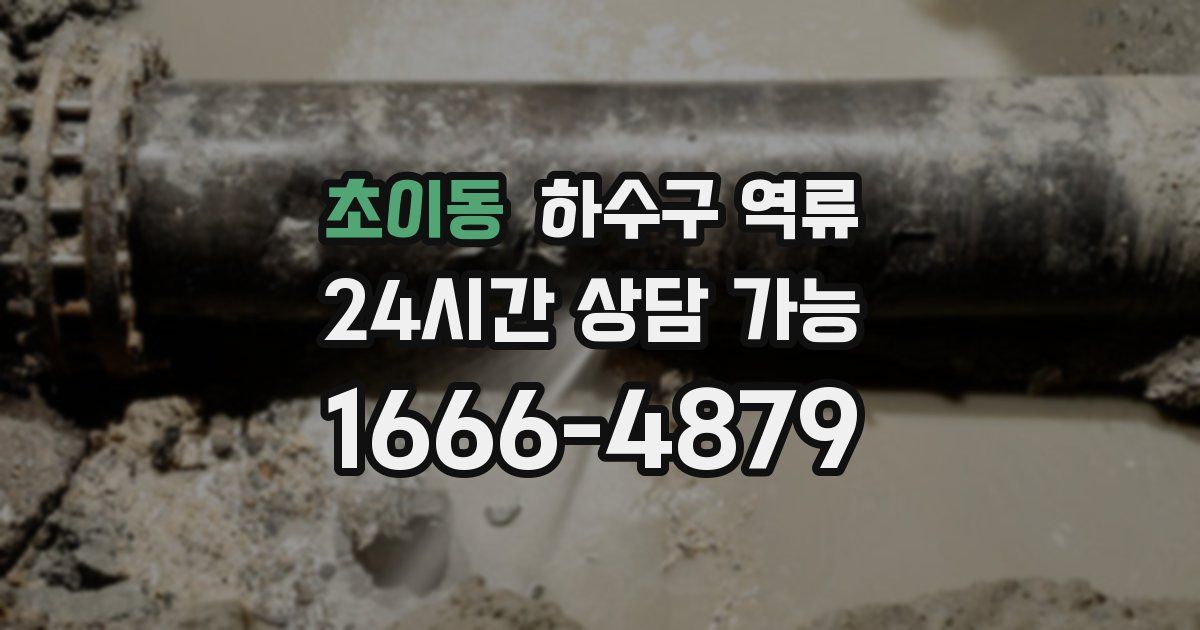 초이동 하수구 역류