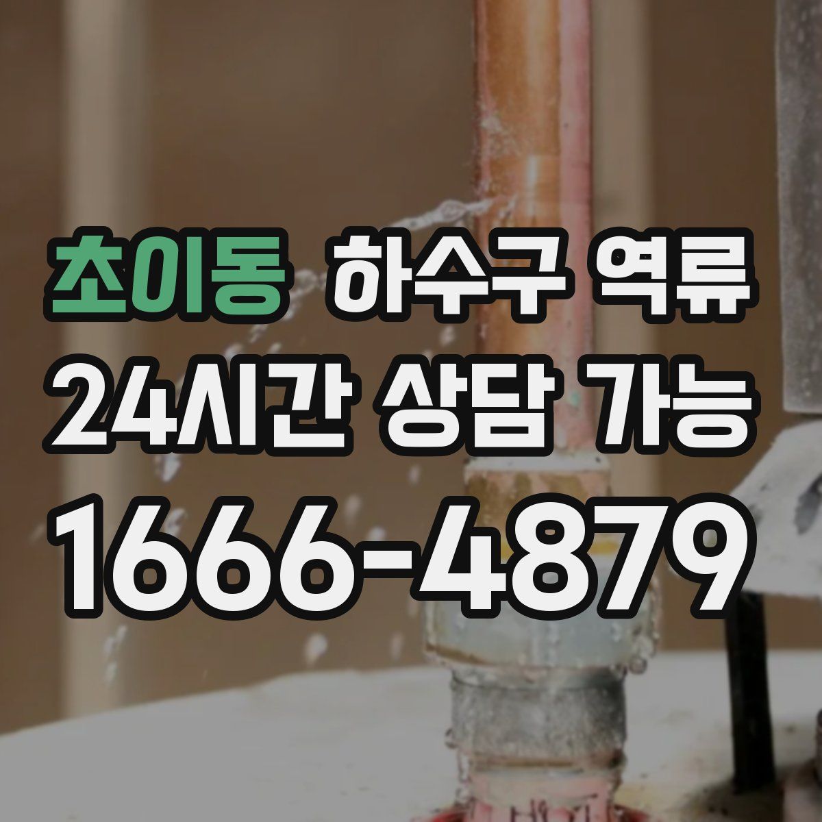 초이동 하수구 역류