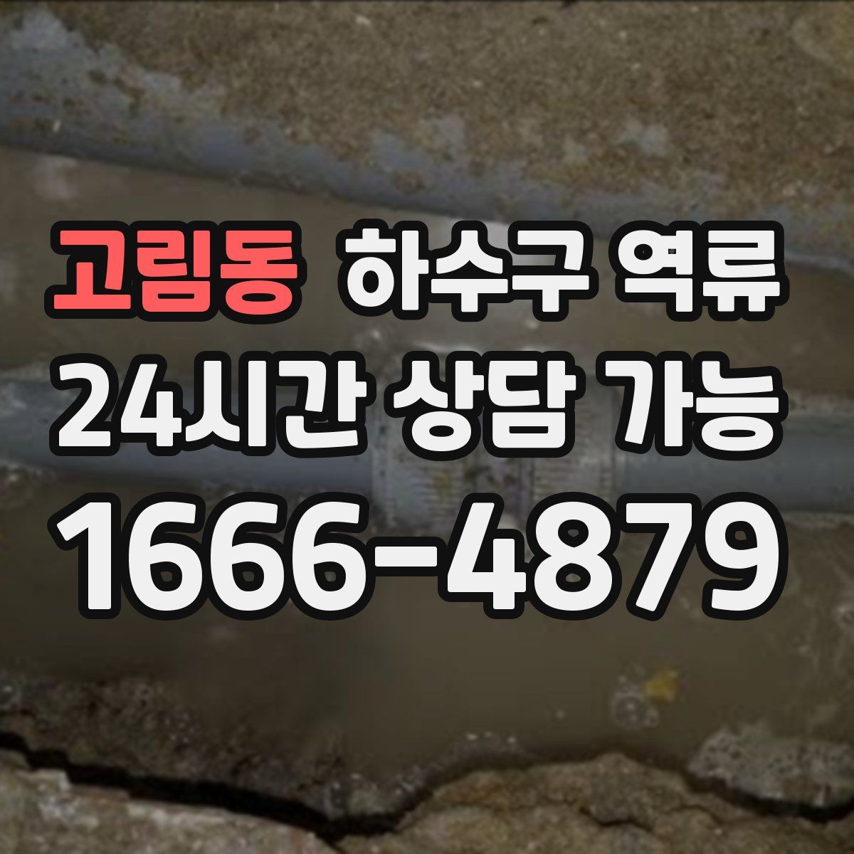 고림동 하수구 역류