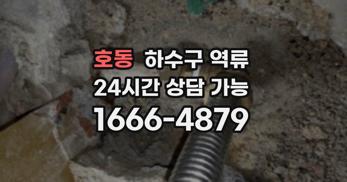 호동 하수구 역류