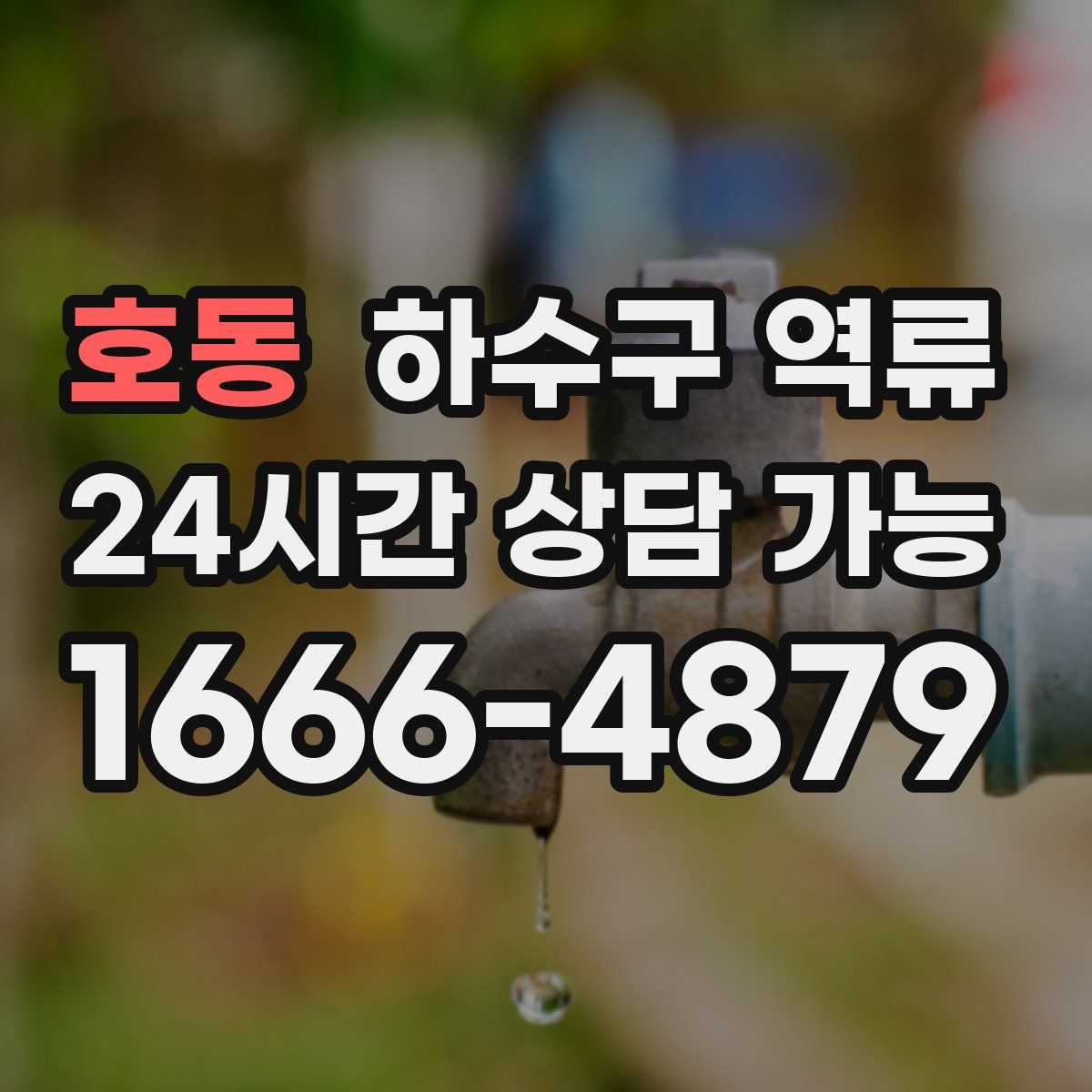 호동 하수구 역류