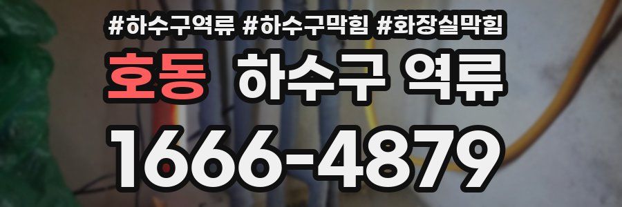 호동 하수구 역류