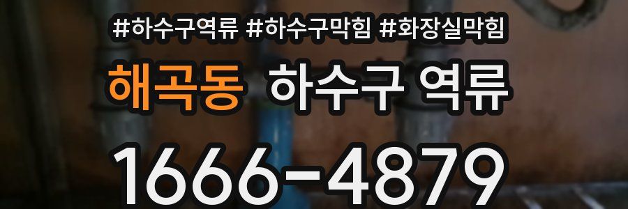 해곡동 하수구 역류
