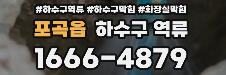 포곡읍 하수구 역류