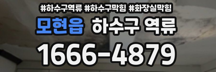 모현읍 하수구 역류