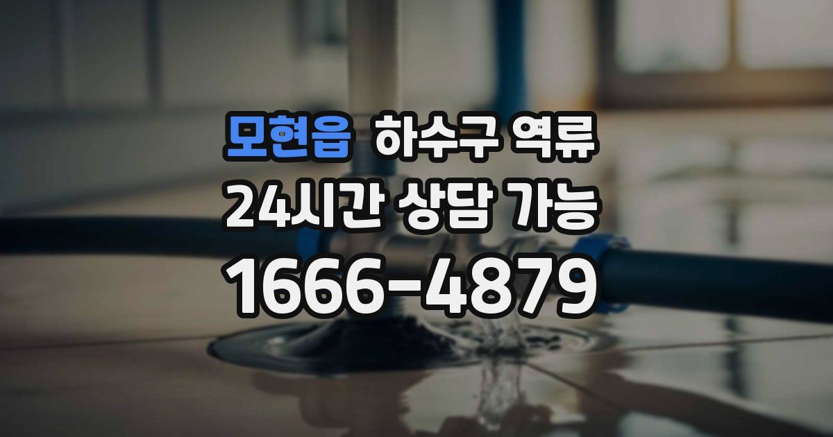 모현읍 하수구 역류